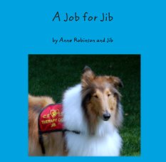 A Job for Jib book cover