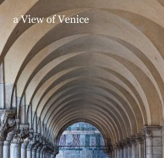 a View of Venice book cover