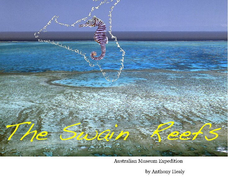 View The Swain Reefs by Anthony Healy