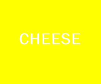 CHEESE book cover