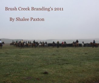 Brush Creek Branding's 2011 By Shalee Paxton book cover