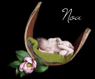 Noa book cover