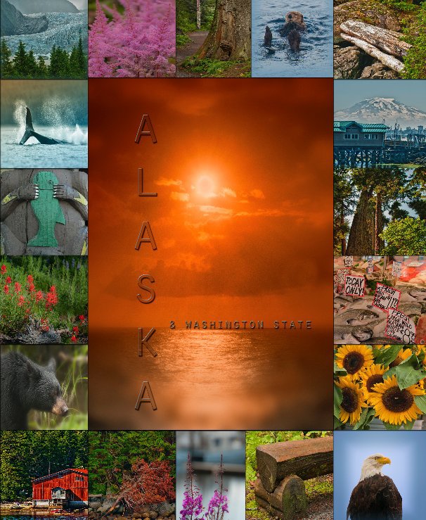 View ALASKA and Washington State by eduranko