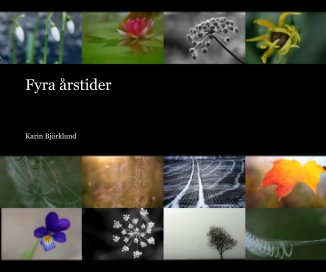 Fyra årstider book cover