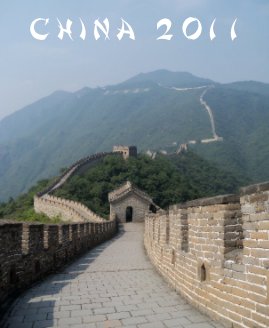 China 2011 book cover