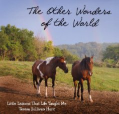 The Other Wonders of the World book cover