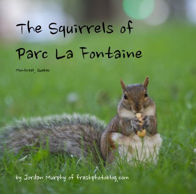 The Squirrels of Parc La Fontaine Montreal, Quebec book cover