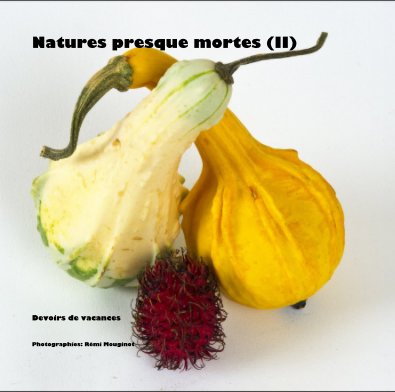 Natures presque mortes (II) book cover