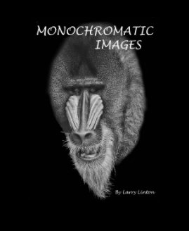 MONOCHROMATIC IMAGES book cover