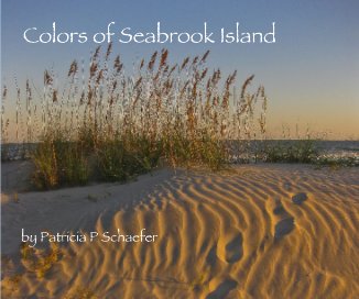Colors of Seabrook Island by Patricia P Schaefer