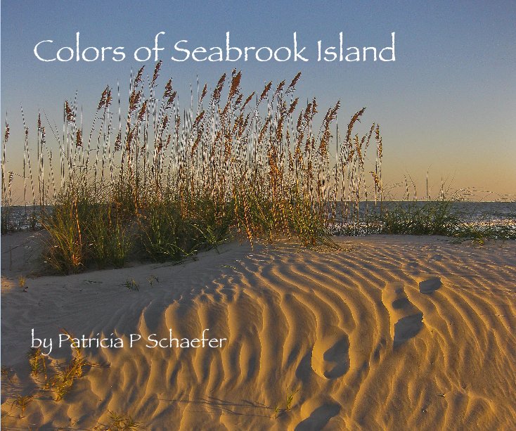 Bekijk Colors of Seabrook Island by Patricia P Schaefer op pschaefer