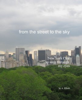 from the street to the sky book cover