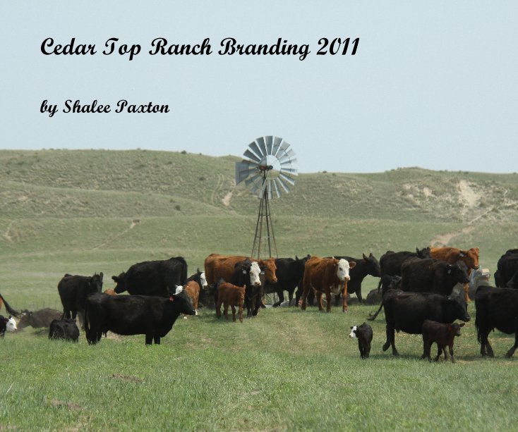 View Cedar Top Ranch Branding 2011 by Shalee Paxton