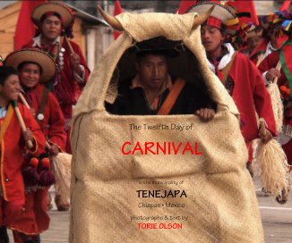 The Twelfth Day of CARNIVAL book cover