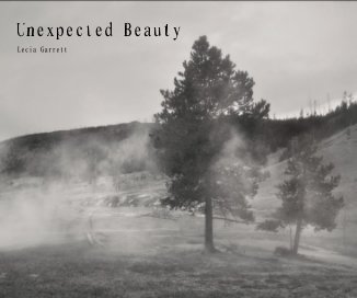 Unexpected Beauty book cover