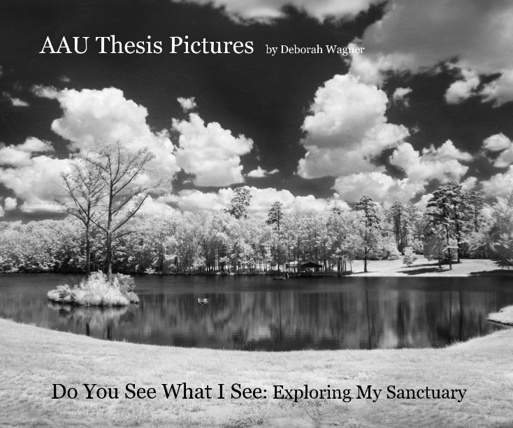 Ver AAU Thesis Pictures by Deborah Wagner por Do You See What I See: Exploring My Sanctuary