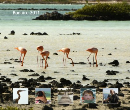 Bonaire 2011 book cover