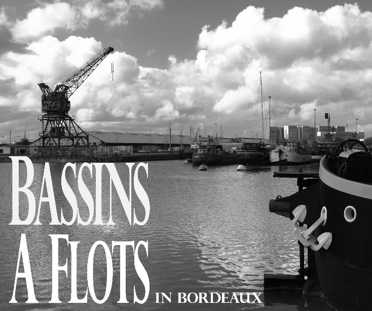 View Bassins A Flots in Bordeaux by Giloube
