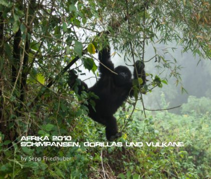 Afrika 2010 Schimpansen, Gorillas und Vulkane book cover