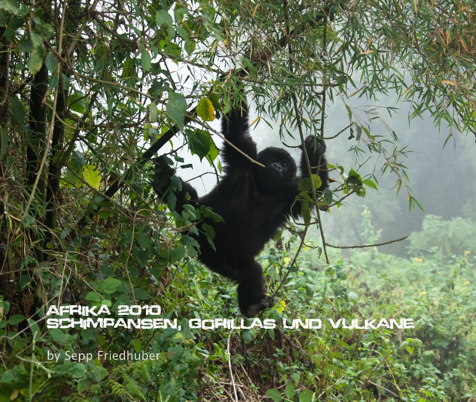 Visualizza Afrika 2010 Schimpansen, Gorillas und Vulkane di Sepp Friedhuber