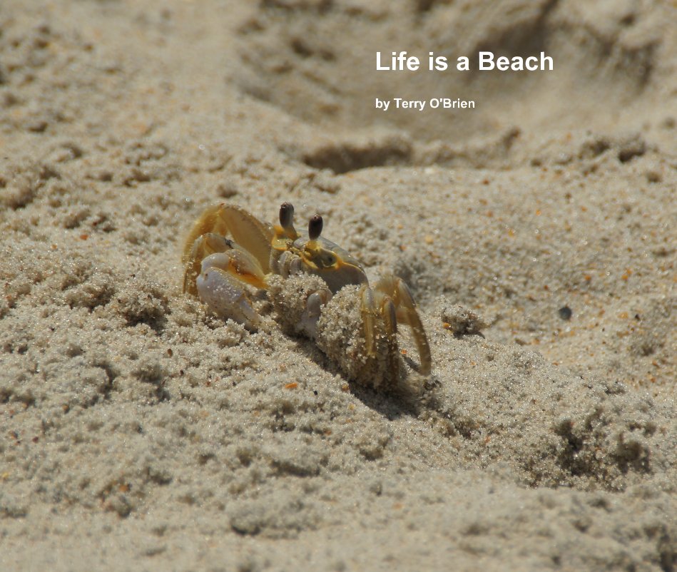 View Life is a Beach by Terry O'Brien