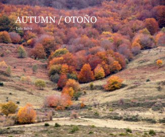 Autumn / Otoño book cover