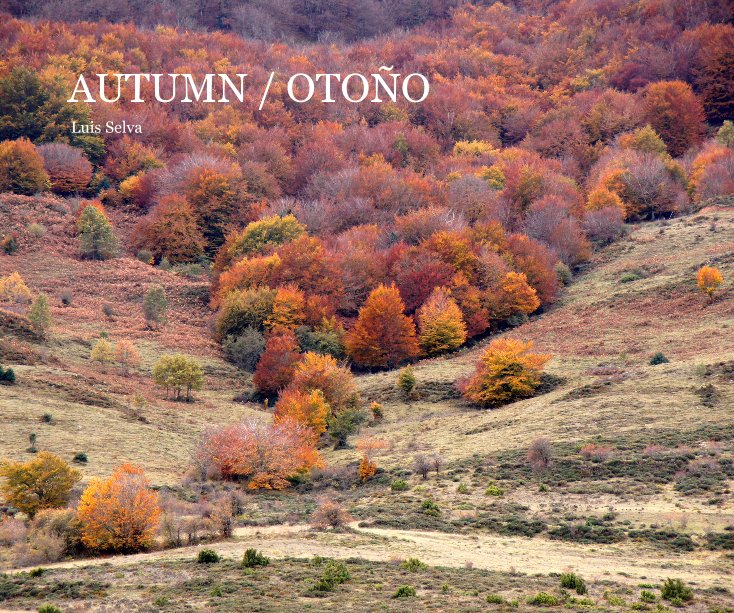 Ver Autumn / Otoño por Luis Selva