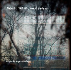 Black, White, and Colors book cover