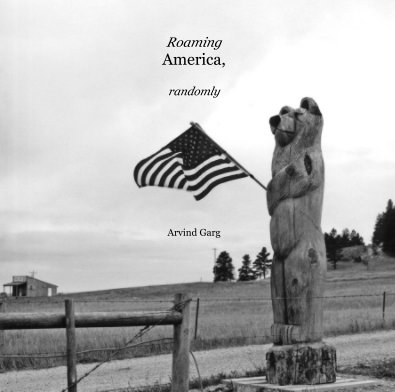 Roaming America, randomly book cover