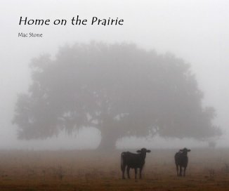 Home on the Prairie (hardcover) book cover