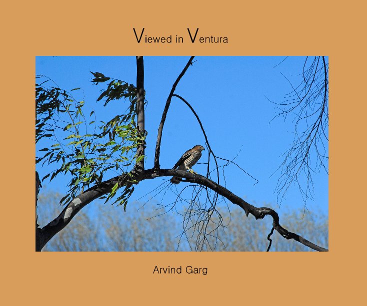 Ver Viewed in Ventura por Arvind Garg