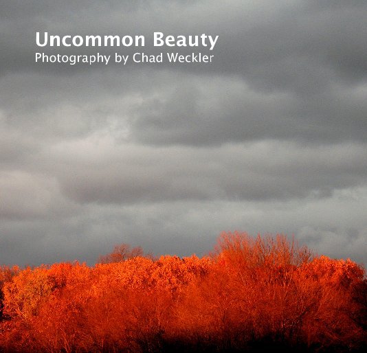 View Uncommon Beauty by Chad Weckler