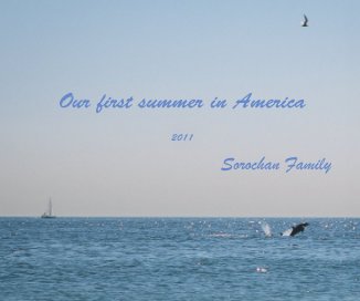 Our first summer in America book cover