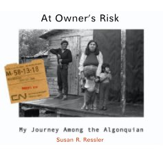 At Owner's Risk book cover