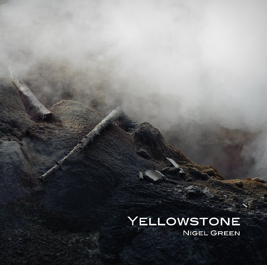 View Yellowstone by Nigel Green
