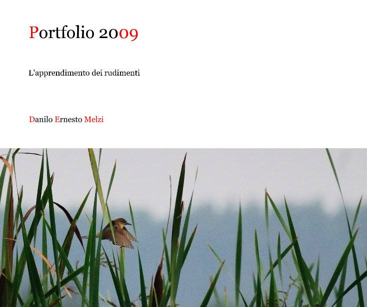 Portfolio 2009 nach Danilo Ernesto Melzi anzeigen