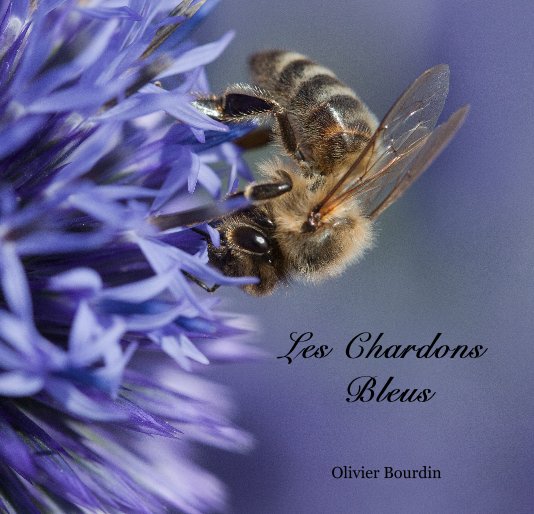 Ver Les Chardons Bleus por Olivier Bourdin