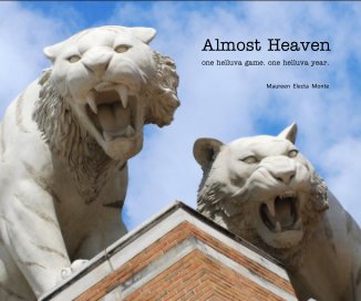 Almost Heaven book cover