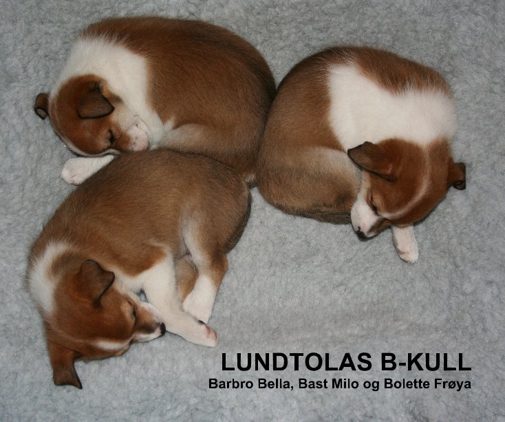 Bekijk LUNDTOLAS B-KULL op Lundtola