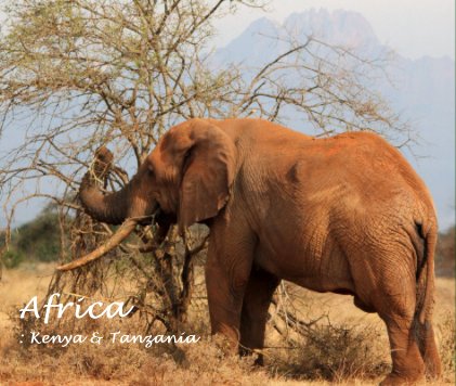 Africa : Kenya & Tanzania book cover