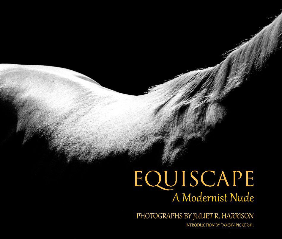 View Equiscape by Juliet R. Harrison