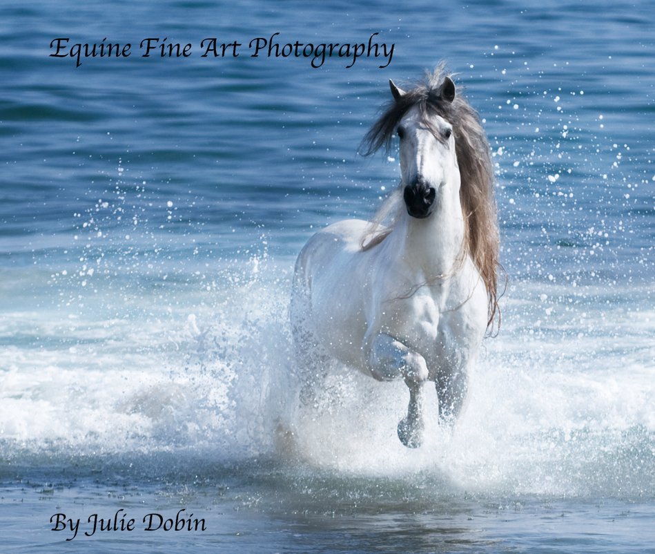 View Equine Fine Art Photography by Julie Dobin