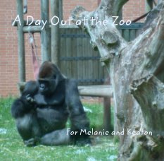 A Day Out at the Zoo book cover