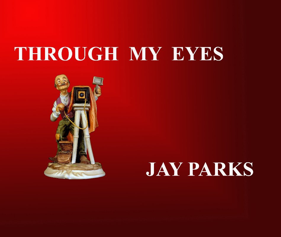 View Through My Eyes by Jay Parks