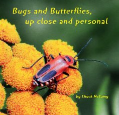 Bugs and Butterflies, up close and personal book cover