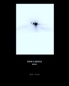 NEW CASTLE
2011 book cover