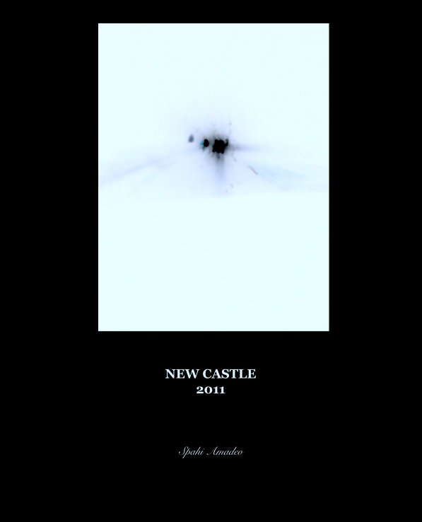 View NEW CASTLE
2011 by Spahi Amadeo