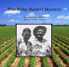 The Baby Rabbit Mystery book cover