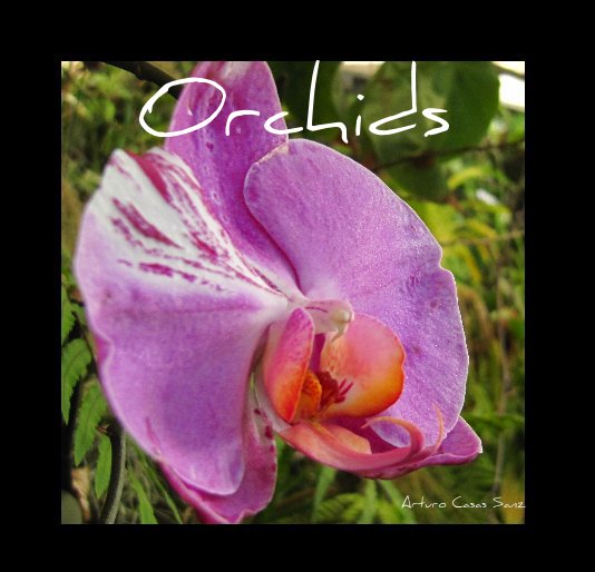 Ver Orchids por Arturo Casas Sanz
