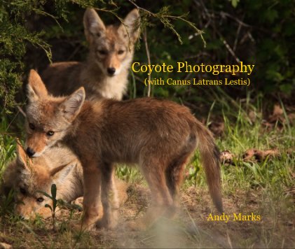 Coyote Photography (with Canus Latrans Lestis) Andy Marks book cover